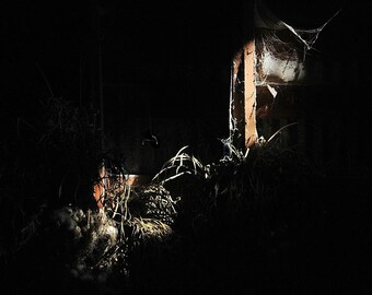 May include: A dark, shadowy room with a single light source illuminating a corner. The light reveals a wooden beam with a cobweb hanging from it. The rest of the room is obscured by darkness.