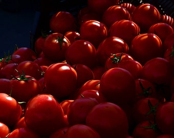 May include: A close-up image of a large pile of red ripe tomatoes. The tomatoes are arranged in a random pattern, with some overlapping others. The tomatoes are illuminated by a bright light source, which creates a dramatic effect.
