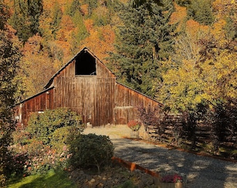 May include: A rustic wooden barn with a large, open door, set against a backdrop of vibrant fall foliage. The barn is surrounded by trees with colorful leaves in shades of orange, yellow, and red.