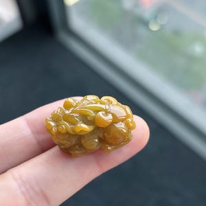 Pu&ograve; includere: Una piccola scultura intagliata in modo intricato nei toni del giallo e del marrone. L'intaglio dettagliato raffigura una creatura mitica, forse un drago o un leone, con una superficie strutturata. La scultura &egrave; tenuta nella mano di una persona.