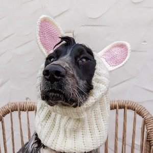 Pode incluir: Um cão usando um capuz de malha branco com orelhas de coelho rosa e branco. O cão tem pelo preto e branco e está sentado em uma cadeira de vime. O fundo é uma parede branca texturizada.