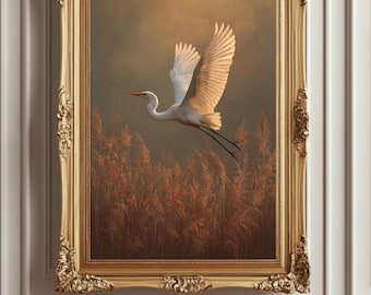 Silberreiher - Poster: Golden Sumpf