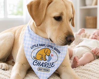 Custom Baby First Best Friend Bandana, Pet Party Outfit, Embroidered Pet Birthday Scarf, Gingham Labrador Bandana,Birthday Dog Outfits