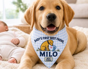 Custom Baby First Best Friends Pet Bandana, Pet Party Outfit, Embroidered Pet Birthday Scarf, Gingham Labrador Bandana, Birthday Dog Outfits
