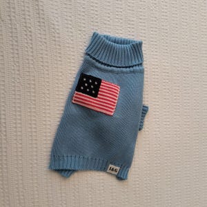 Pode incluir: Um suéter azul claro para cães com gola alta e bainha canelada. O suéter apresenta um pequeno patch da bandeira americana no lado superior esquerdo. A etiqueta "I&G" é visível na bainha inferior.