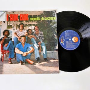 Op de afbeelding: Vintage vinylalbum van de band I Dik Dik. De albumhoes toont de bandleden die buiten poseren. Het album heet "Raccolta di Successi". Een zwarte vinylplaat ligt naast het album.