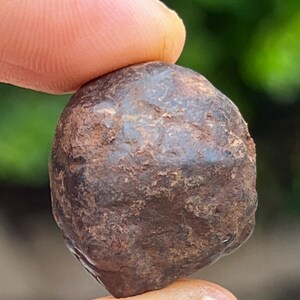 May include: A dark brown, rounded stone with a rough, textured surface. The stone is held between two fingers, with a blurred green background. The stone's color is a mix of dark brown and reddish-brown.