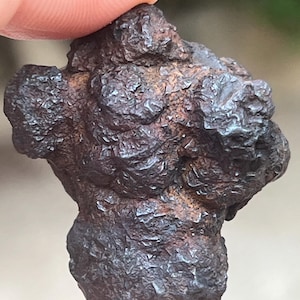 May include: A dark brown, textured rock with a rough, uneven surface. The rock has a complex, organic shape with multiple protrusions and indentations. The color is a deep, rusty brown with hints of darker shades, suggesting mineral composition.