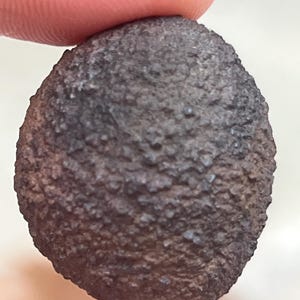May include: A dark brown, oval-shaped rock with a rough, textured surface. The rock has a bumpy appearance, with small, irregular protrusions covering its exterior. The color is a deep, earthy brown, with some areas appearing slightly darker.