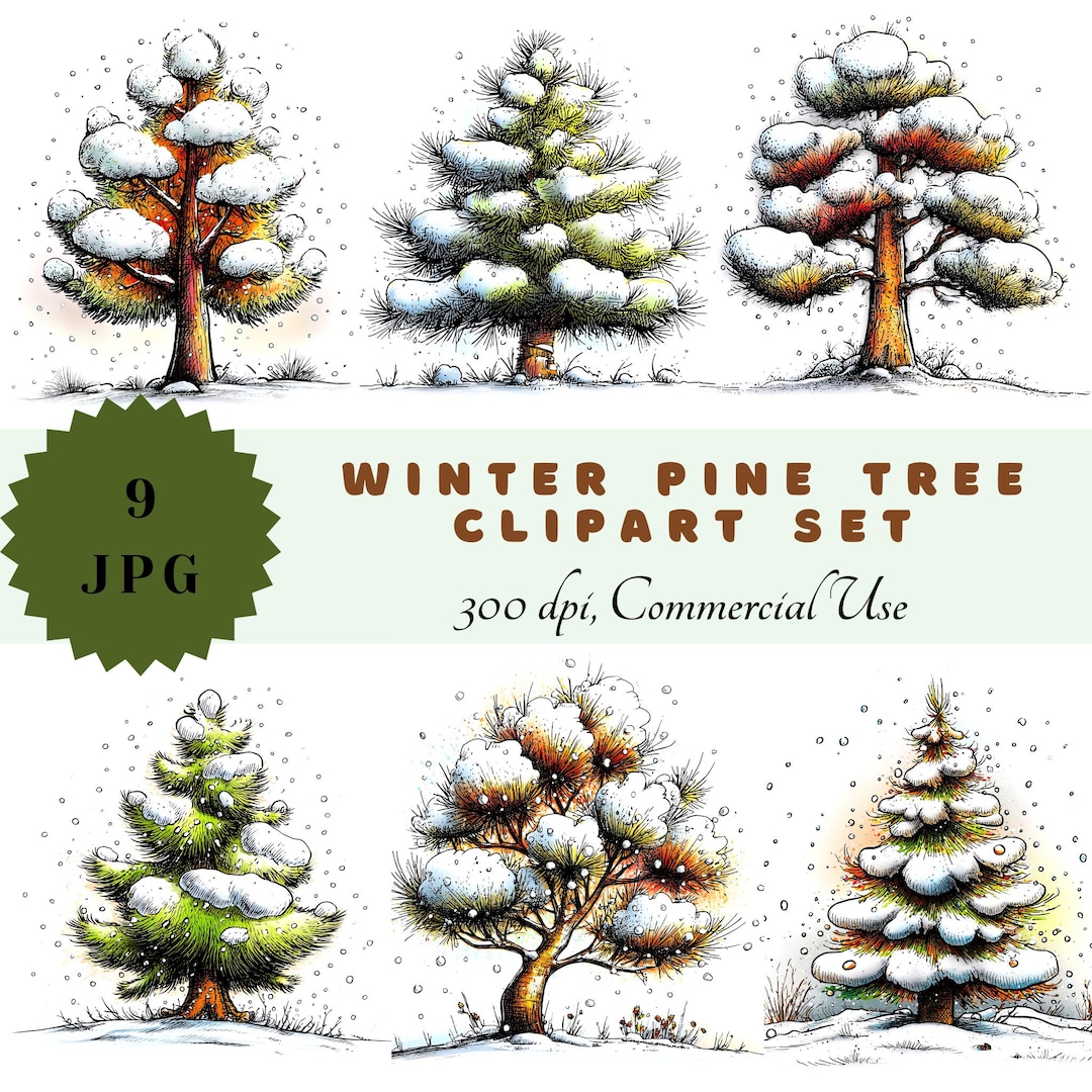 Winter Pine Tree Clipart Set | Snowy Woodland Trees | Christmas ...