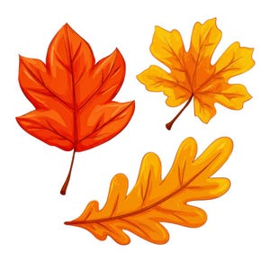 May include: Three colorful autumn leaves in shades of orange and yellow against a white background. The leaves are a maple leaf, an oak leaf, and a leaf with a unique shape. The leaves have detailed veins and are likely illustrations.