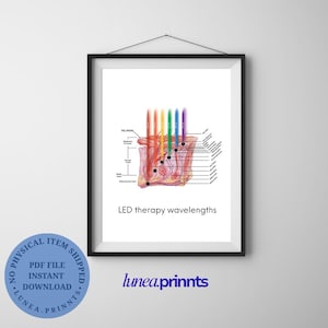 以下が含まれることがあります： 皮膚の層の詳細な解剖学的イラストとカラフルなLEDセラピー波長が特徴のフレームプリント。「LED therapy wavelengths」のテキストが下に表示されています。PDFファイルのインスタントダウンロードです。