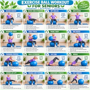 May include: A blue exercise ball workout chart for seniors featuring sixteen numbered illustrations of a person in a purple shirt performing various fitness movements on a blue exercise ball, with instructional text for each exercise.