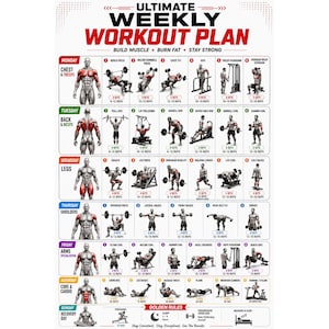 May include: A white instructional poster titled Ultimate Weekly Workout Plan featuring a grid of exercise illustrations organized by day of the week. Each section displays a human figure highlighting specific muscle groups and numbered workout routines.
