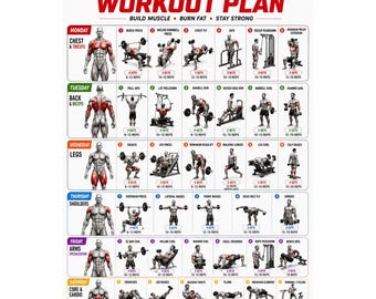 May include: An Ultimate Weekly Workout Plan poster featuring a grid of exercises organized by day of the week. It includes anatomical diagrams highlighting muscle groups, numbered exercise illustrations, and set and repetition counts.