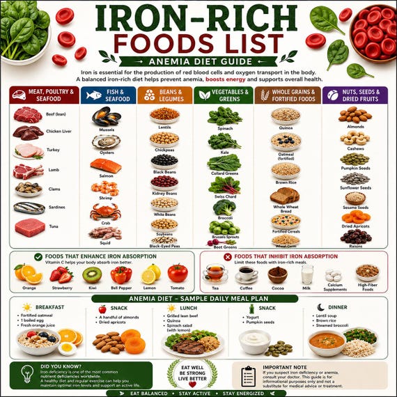 Iron Rich Food List Printable, Anemia Diet Grocery Guide, Foods High In Iron PDF, Iron Deficiency Heme & Non-Heme Iron, Iron Food Sources