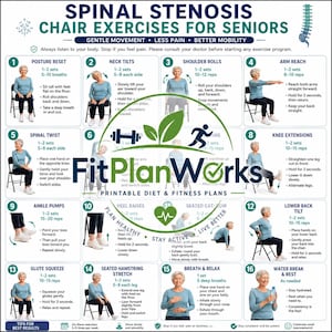 Könnte beinhalten: Ein weißes Informationsplakat mit dem Titel Spinal Stenosis Chair Exercises for Seniors, das sechzehn nummerierte Illustrationen einer Person bei Sitzübungen zeigt, mit schriftlichen Anweisungen für jede Bewegung und einem zentralen FitPlanWorks-Logo.