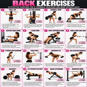 May include: A fitness chart titled BACK EXERCISES featuring 16 numbered panels. Each panel displays a person performing a specific back exercise with instructional text, set, and repetition counts for a stronger, healthier, and more defined back.