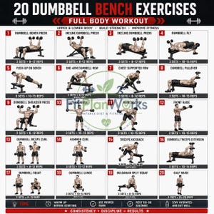 Puede incluir: Un gráfico de instrucciones en blanco y negro titulado 20 DUMBBELL BENCH EXERCISES, que muestra veinte ilustraciones numeradas de una persona realizando varios ejercicios de fuerza con mancuernas y un banco, incluyendo series y repeticiones.