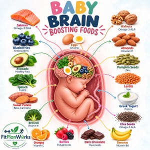 May include: An educational infographic titled BABY BRAIN BOOSTING FOODS featuring a fetus in a womb with a brain filled with various foods. Arrows point from salmon, blueberries, avocado, spinach, sweet potato, broccoli, oranges, berries, chocolate, bananas, chia seeds, yogurt, lentils, pumpkin seeds, almonds, walnuts, and eggs to their respective nutrients.