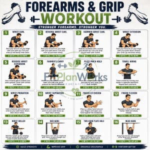 May include: A white instructional poster titled Forearms & Grip Workout featuring sixteen numbered exercise illustrations. Each section includes a descriptive title, a drawing of a person performing the movement, and text instructions for sets and repetitions.