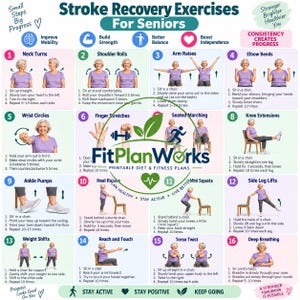 Puede incluir: Un gráfico instructivo multicolor titulado Stroke Recovery Exercises For Seniors, que presenta dieciséis ilustraciones numeradas de movimientos físicos. El logotipo de FitPlanWorks está centrado, rodeado de instrucciones de texto para movilidad, fuerza y equilibrio.
