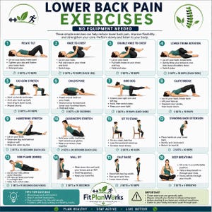 Peut inclure: Une affiche pédagogique intitulée LOWER BACK PAIN EXERCISES NO EQUIPMENT NEEDED présentant seize illustrations numérotées d'une personne en tenue de sport verte effectuant divers étirements et mouvements, avec des instructions textuelles pour chaque exercice.