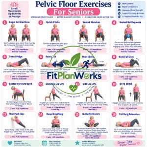 May include: An instructional poster titled Pelvic Floor Exercises For Seniors by FitPlanWorks. It features sixteen numbered illustrations of a person performing various physical exercises, each with descriptive text, repetition counts, and hold times.