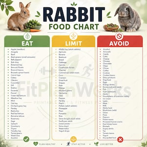 Può includere: Una tabella alimentare per conigli con un coniglio marrone e uno grigio. Il grafico è diviso in tre colonne etichettate Eat, Limit e Avoid, ciascuna contenente un elenco puntato di alimenti. Il testo FitPlanWorks è visibile nell'immagine.