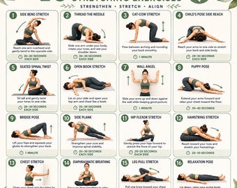 16 Scoliosis Daily Stretches Chart Scoliosis Exercises Poster Bundle Scoliosis Surgery scoliosis Awareness Spine Alignment Stretches