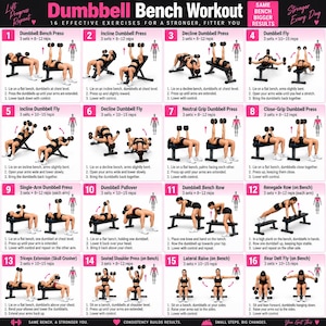 May include: A white informational poster titled Dumbbell Bench Workout featuring sixteen numbered exercise illustrations with instructions, pink accents, and text including 16 Effective Exercises For A Stronger, Fitter You and Same Bench Bigger Results.