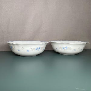Set mit 2 Arcopal Romantique Vintage Milchglas Salatschüsseln