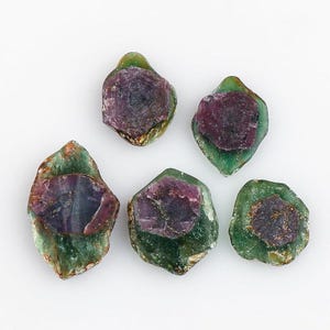 May include: Five rough ruby gemstones, each with a deep purple core and a green outer layer, are presented against a white backdrop. The gemstones exhibit a natural, unpolished texture and diverse shapes, highlighting their organic form.