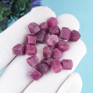 May include: A collection of raw ruby gemstones, in a deep pinkish-red hue. The uncut stones have a rough, natural texture. The gemstones are displayed on a white surface against a light blue background.