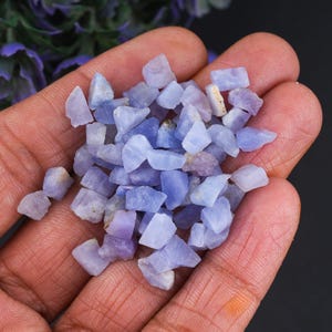 Puede incluir: Un puñado de pequeñas gemas irregulares de color azul-púrpura. Las piedras varían en tonalidad, algunas aparecen más claras y otras más oscuras. Las gemas se sostienen en una mano, con un fondo oscuro y flores moradas en el fondo.