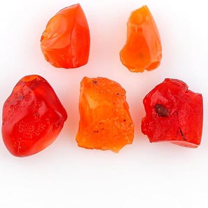 May include: Five polished gemstones in shades of red and orange are displayed against a white background. The stones vary in shape and size, with a glossy, translucent appearance. The gemstones are likely used for jewelry or decorative purposes.