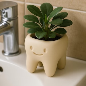 Puede incluir: Una pequeña maceta con forma de diente, de color crema, con una cara sonriente, que contiene una planta verde con hojas redondas. La maceta está sobre una superficie blanca, con un grifo y un fondo de baldosas beige.