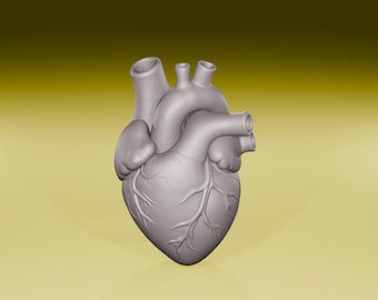 May include: A gray, three-dimensional model of a human heart, showcasing detailed anatomical features. The heart is positioned against a gradient background of yellow and gold hues, creating a sense of depth and dimension.
