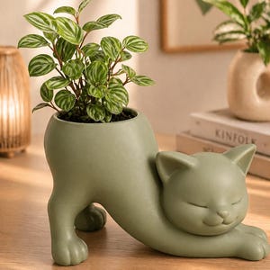 May include: A sage green cat-shaped plant pot containing a small green plant with striped leaves. The cat is in a stretching pose with its eyes closed. The pot is made of ceramic or similar material and is suitable for small plants.