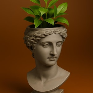 Op de afbeelding: Grijze buste van een klassieke figuur met een plant die uit de top van het hoofd groeit. De plant heeft heldergroene bladeren. De buste staat op een vierkante basis tegen een bruine achtergrond.