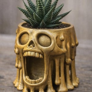 May include: A gold-colored, skull-shaped planter with an open mouth and eye sockets, holding a green succulent plant. The planter has a dripping design, adding a unique, spooky aesthetic. The plant has spiky, green leaves.