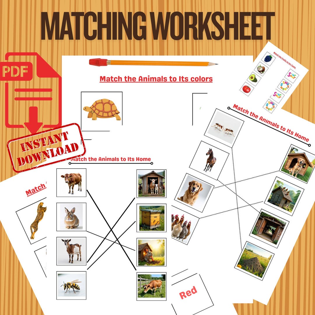 Animal Color Matching Worksheet for Kids | Preschool Learning Activity