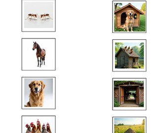 Hoja de trabajo: Une los animales con su hábitat | Actividad sobre hábitats de animales para niños | Material imprimible para el aprendizaje de ciencias en preescolar | PDF para educación en casa