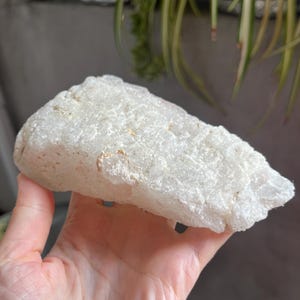 Può includere: Una pietra ruvida, di forma rettangolare e color bianco sporco, con una superficie strutturata. La pietra è tenuta in mano, con piante verdi sullo sfondo. Sembra essere un minerale o un cristallo naturale.