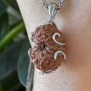 Könnte beinhalten: Ein brauner, texturierter, kugelförmiger Rudraksha-Samen-Anhänger, eingefasst in einen Käfig aus poliertem Silberdraht. Der Anhänger hängt an einer geflochtenen Silberkette. Der Samen hat eine natürliche, tief gefurchte Oberfläche.