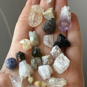 Peut inclure: Une collection de divers petits spécimens minéraux bruts et cristaux de formes, tailles et couleurs variées, incluant des pierres transparentes, blanches, violettes, noires et beiges, reposant dans une paume pour montrer leurs textures.