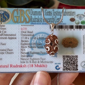 May include: A brown, oval-shaped 18-faced Rudraksha bead pendant set in a silver-toned metal cage, suspended on a thin silver chain. The pendant is displayed over a GBS Diamond & Gems Testing Laboratory identification card for a natural Rudraksh.
