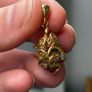 Collana unisex in argento sterling, oro vermeil, autentico naturale 15 Mukhi (Pashupatinath Shiva) Rudraksha Indonesia con ciondolo / Energia del Signore Shiva