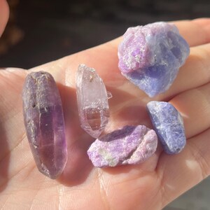 May include: Assortment of raw crystals in shades of purple and blue. The collection includes amethyst points and tumbled stones. The crystals vary in size and shape, with a focus on natural textures and colors. Ideal for collectors or those interested in crystal healing.