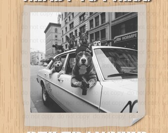May include: Black and white DTF transfer featuring a vintage car with dogs inside and on top. The dogs are wearing hats and holding guns. The text "READY TO PRESS" and "DTF TRANSFER" are at the top and bottom of the image.